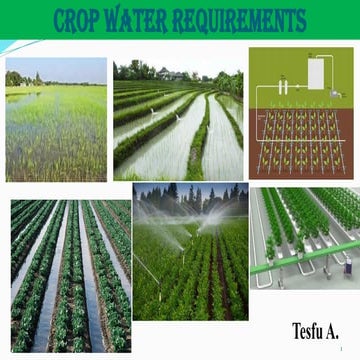 CLIMWAT and CROPWAT Model | PPTX