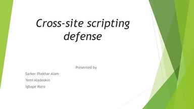 Cross Site Scripting Defense Presentation 