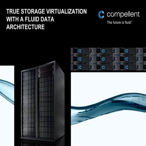 True storage virtualization with a fluid data architecture