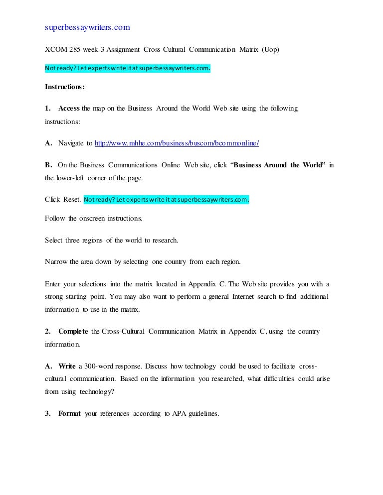 Cross cultural communication essay