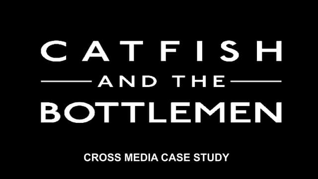 Cross media Catfish Case Study