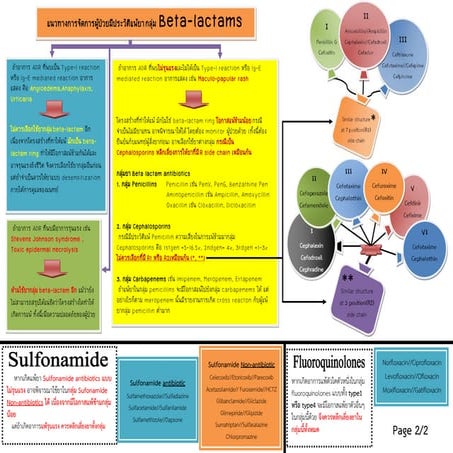 Antibiotic Guideline 2015-2016: Cross reaction | PDF