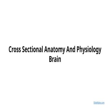 Comprehensive Cross-Sectional Anatomy and Physiology of the Human Brain ...
