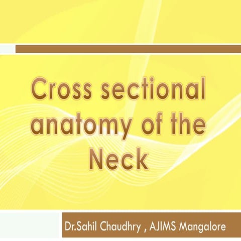 Cross sectional anatomy of the neck