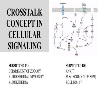 CROSSTALK CONCEPT IN CELLULAR SIGNALING.pptx | Endocrine and Metabolic ...