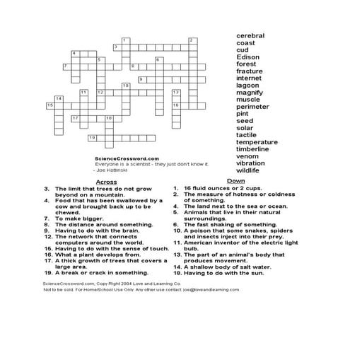 Crossword puzzle 1 | DOC