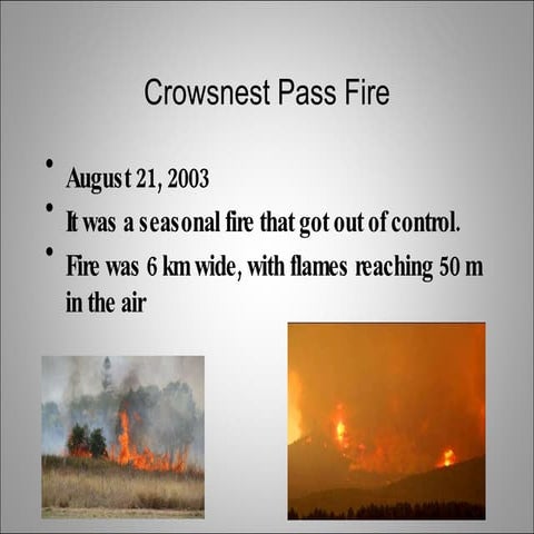Crownest Pass Fires