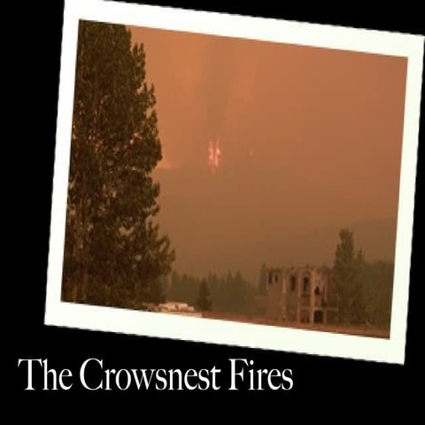 Crowsnest Fire