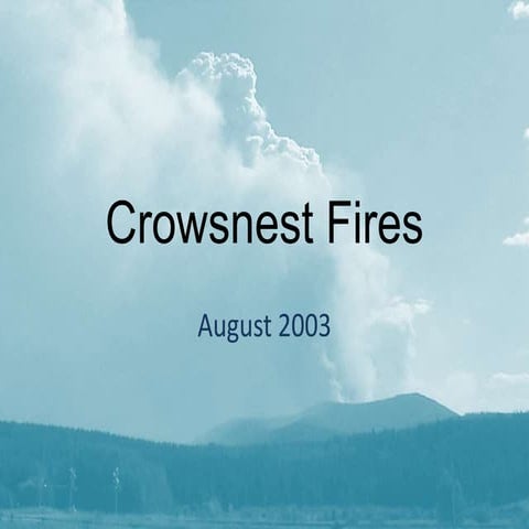 Crowsnest Fire
