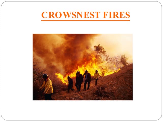 Crowsnest Fire