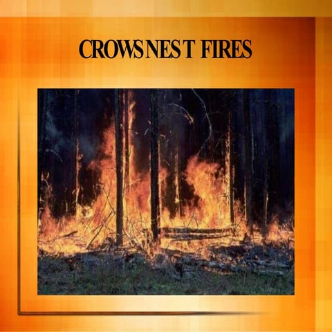 Crowsnest Fire