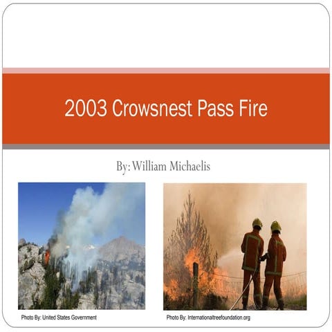 Crowsnest Fire