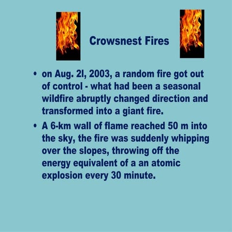 Crowsnest Fire