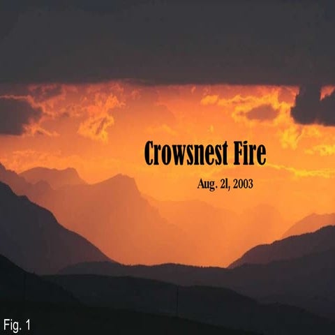 Crowsnest Fire