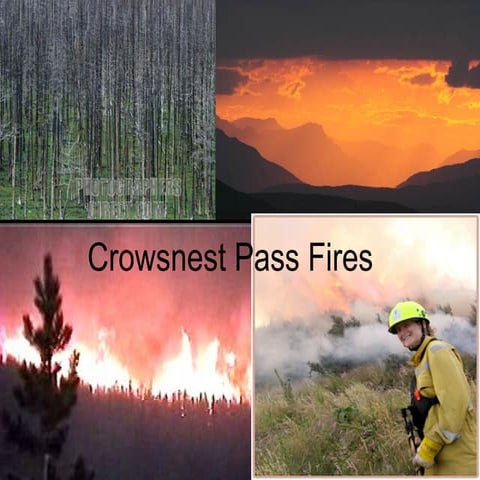 Crowsnest Fire