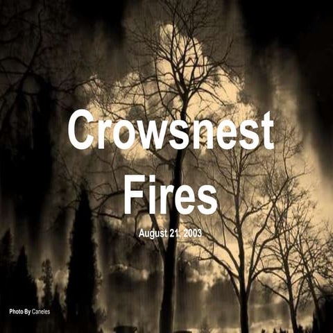 Crowsnest Fire Powerpoint