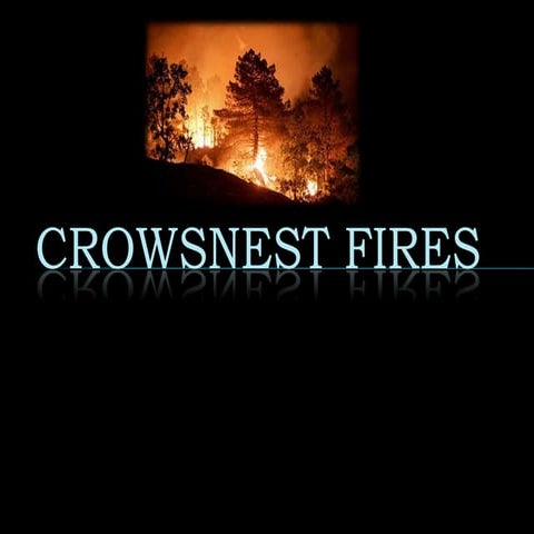 Crowsnest Fires