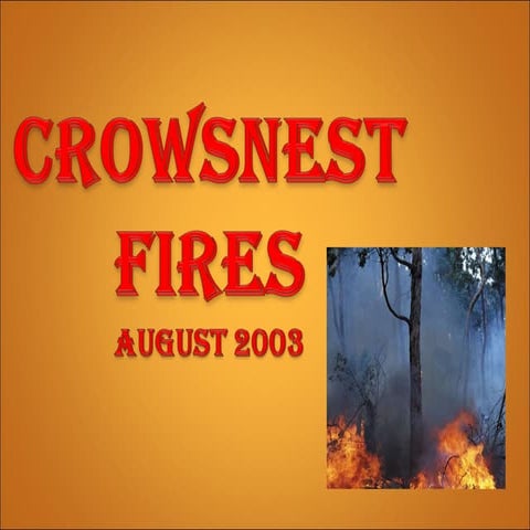 Crowsnest Fires