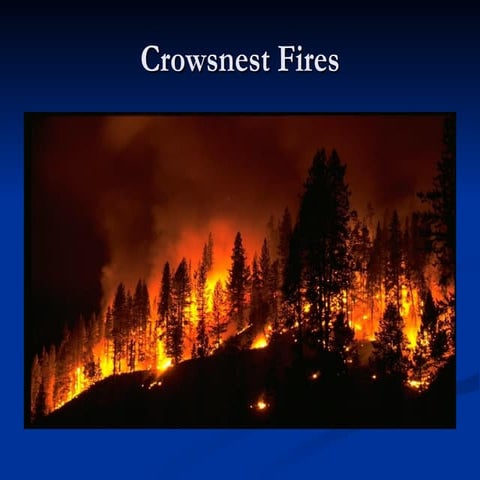 Crowsnest Fires Re Done