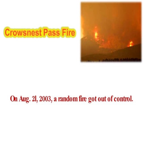 Crowsnest Powerpoint