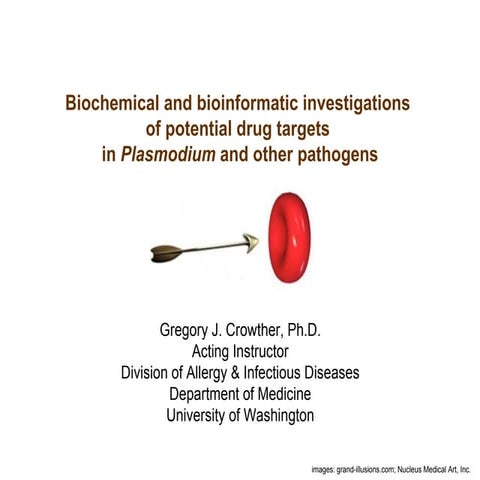Biochemical and bioinformatic investigations of potential drug targets in Pla...