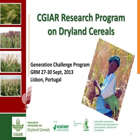 GRM 2013: CGIAR Research Program on Dryland Cereals -- S Sivasankar