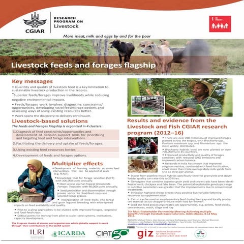 Livestock feeds and forages flagship
