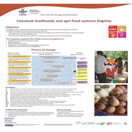 Livestock livelihoods and agri‐food systems flagship