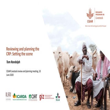 Reviewing and planning the CRP: Setting the scene 