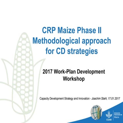 CRP MAIZE Workplan 2017  