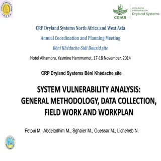 System Vulnerability Analysis