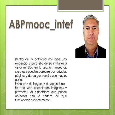 Crítica de un proyecto angelepg