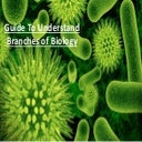 Some Crucial Branches of Biology you must Know
