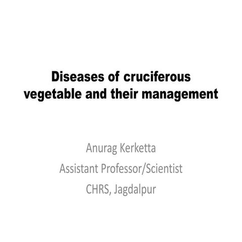 Diseases of Cruciferous
