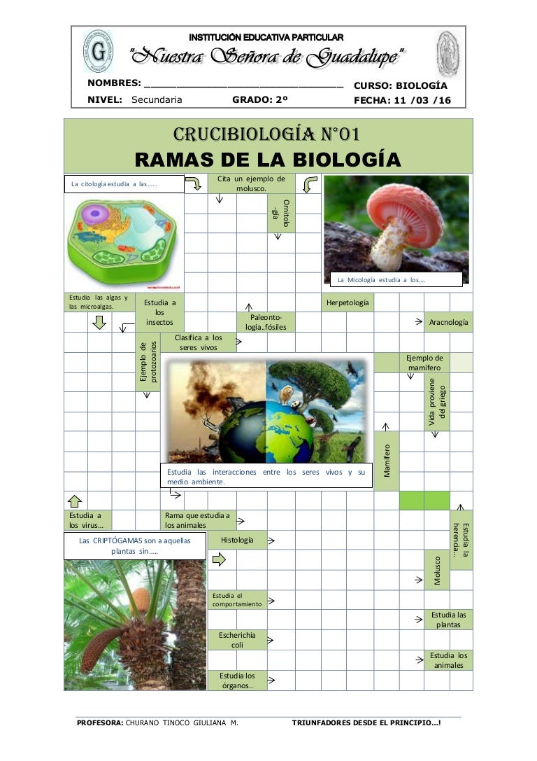 La Cara Posterior del Iris: Un Crucigrama Biológico