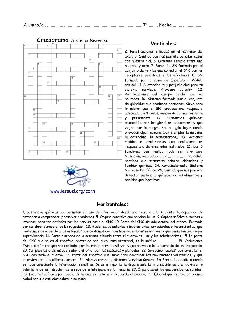 preguntas faciles sobre la tabla periodica crucigrama del sistema nervioso preguntas faciles sobre la tabla periodica crucigrama del sistema nervioso