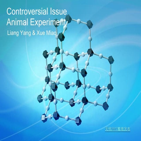 Cruel Animal Experiment