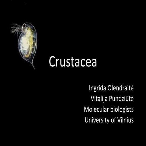 Crustacea