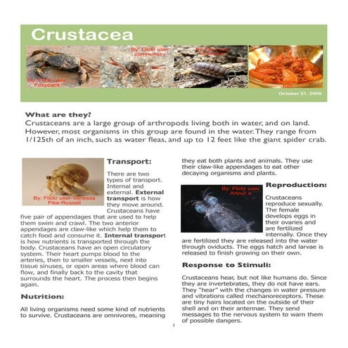 Crustacean Newsletter