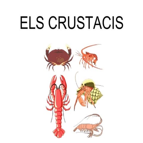 Crustacis