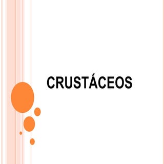 Crustáceos