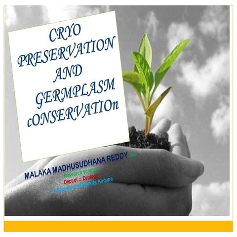 Cryopreservation of germplasm 