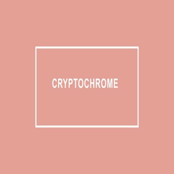 Cryptochrome By Vidan Biology