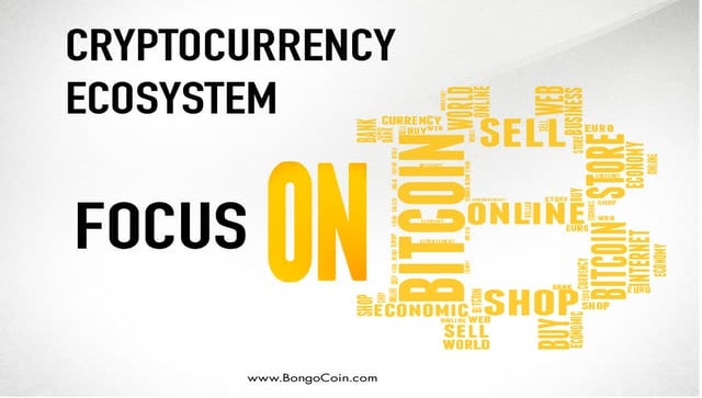 Cryptocurrency ecosystem focuse on BitCoin and Blockchain - Jones Mrusha