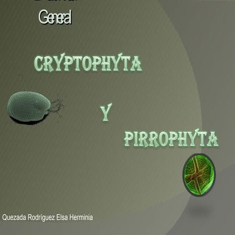 Cryptophyta expo final2