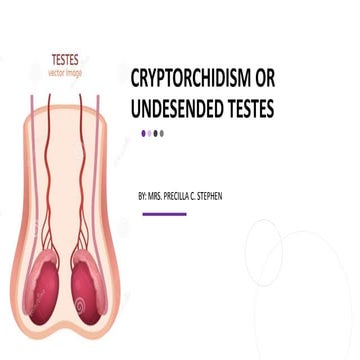 Cryptorchidism | PPTX