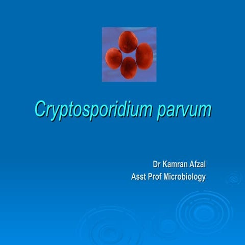 Cryptosporidium parvum