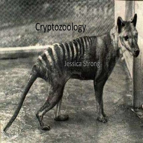 Cryptozoology ppt | PPTX