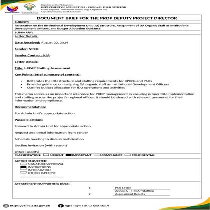 CS-ForActionTemplate-I-REAP Staffing Assessment.docx