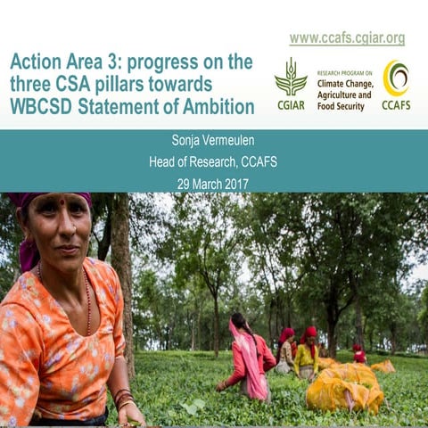 Action Area 3: Progress on the three Climate-Smart Agriculture pillars toward...